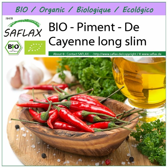 Bio - piment - de cayenne long slim - 10 graines - capsicum annuum