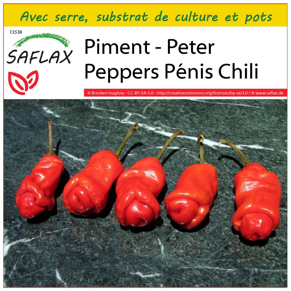 Graines De Piment Cerise Piquant (Capsicum Annuum) - Sachet De 25 Graines - Le Grenier D'Abondance - Pour Jardin, Pot, Balcon