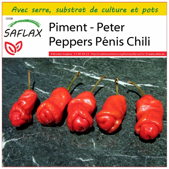 Ensemble de culture - piment - peter peppers pénis chili - 10 graines - capsicum annuum