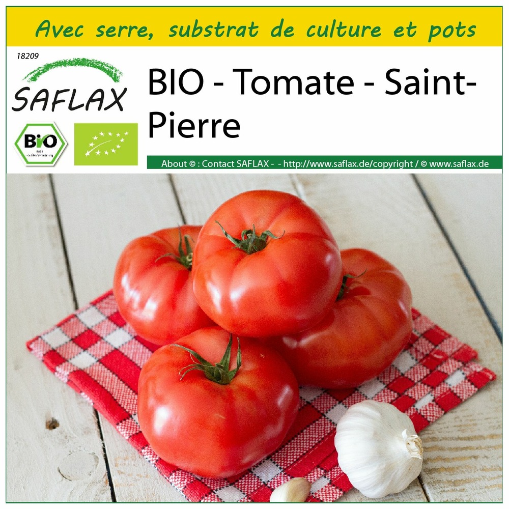 Ensemble de culture - bio - tomate - saint-pierre - 15 graines - solanum lycopersicum
