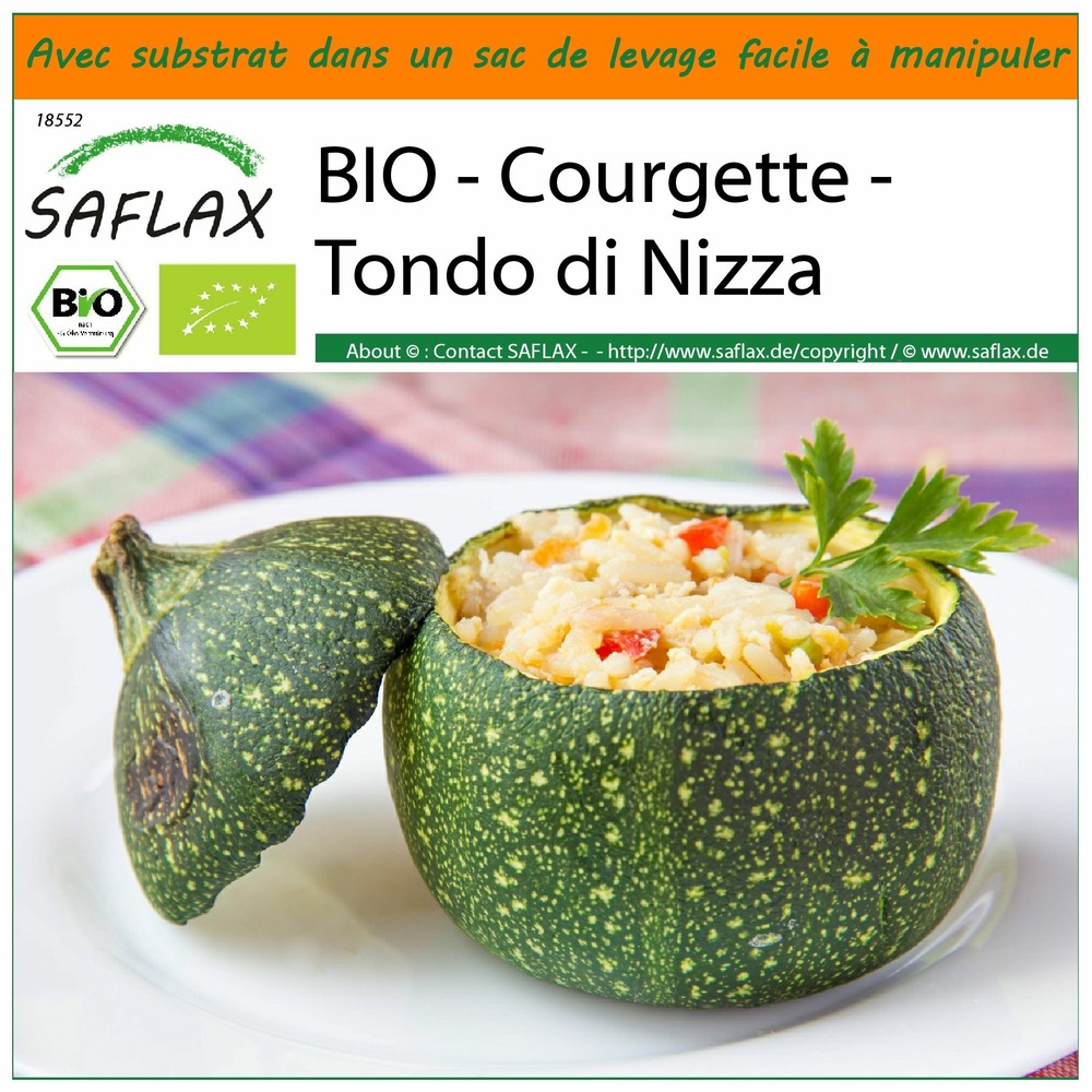 Jardin dans le sac - bio - courgette - tondo di nizza - 5 graines  - cucurbita pepo