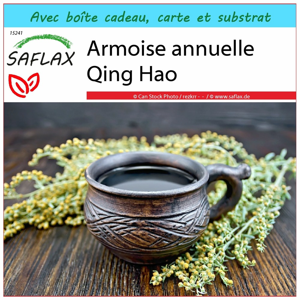 Ensemble-cadeau - armoise annuelle qing hao - 250 graines - artemisia annua