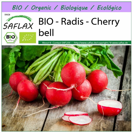 Bio - radis - cherry bell - 100 graines - raphanus sativus