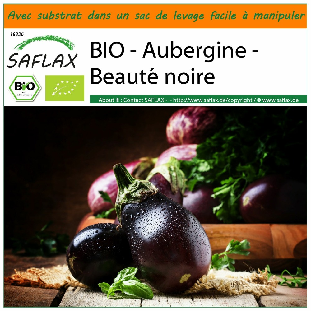 Jardin dans le sac - bio - aubergine - beauté noire - 25 graines  - solanum melongena