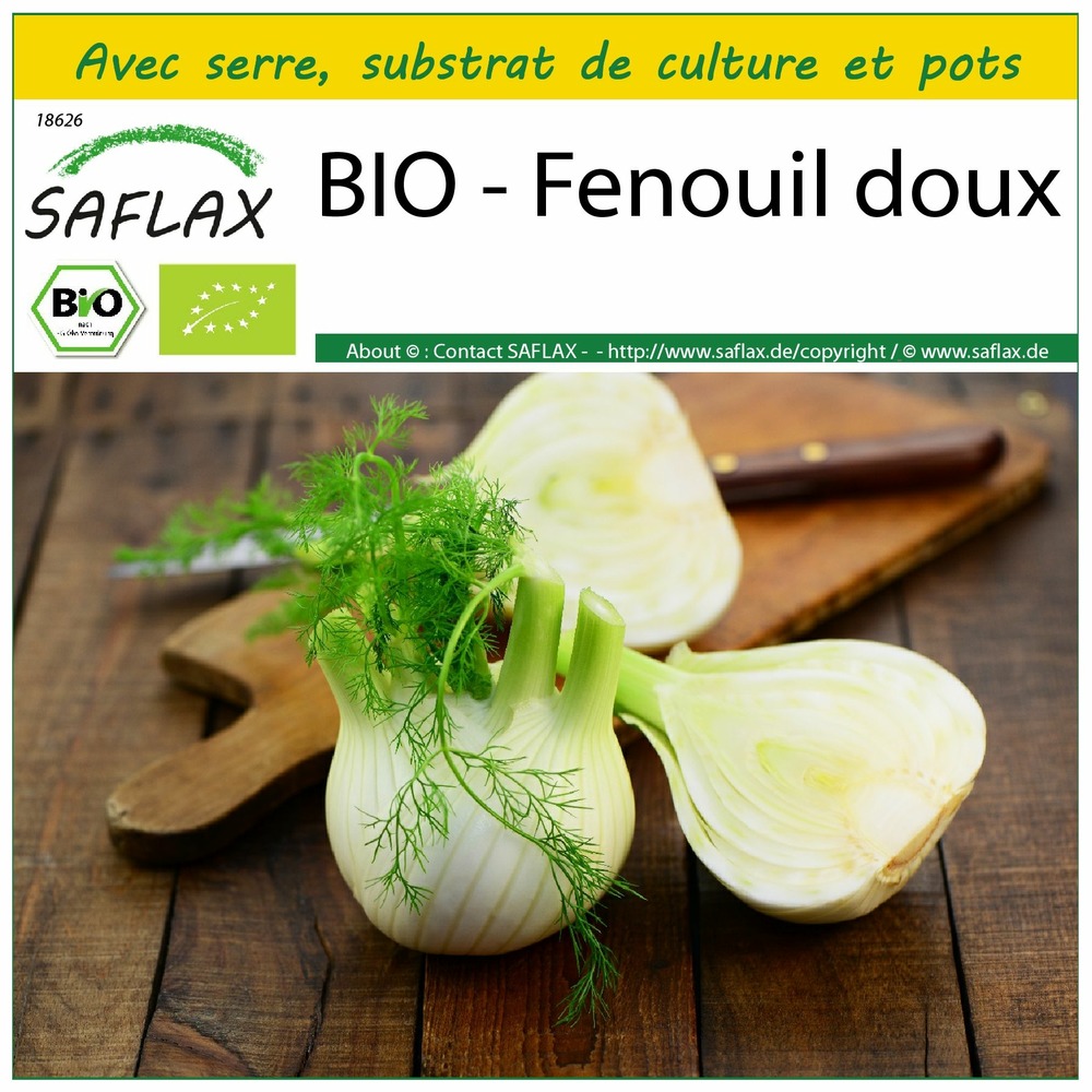 Ensemble de culture - bio - fenouil doux - 100 graines - foeniculum vulgare var. Azoricum