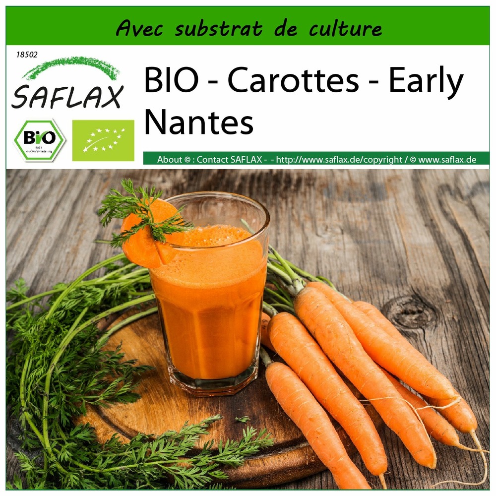 Bio - carottes - early nantes - 1500 graines - avec substrat - daucus carota subsp. Sativus