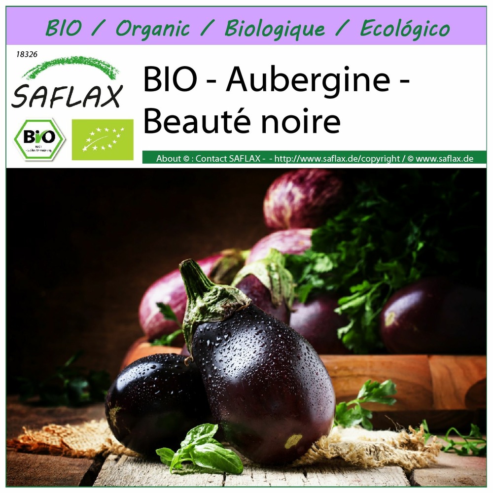 Bio - aubergine - beauté noire - 25 graines - solanum melongena