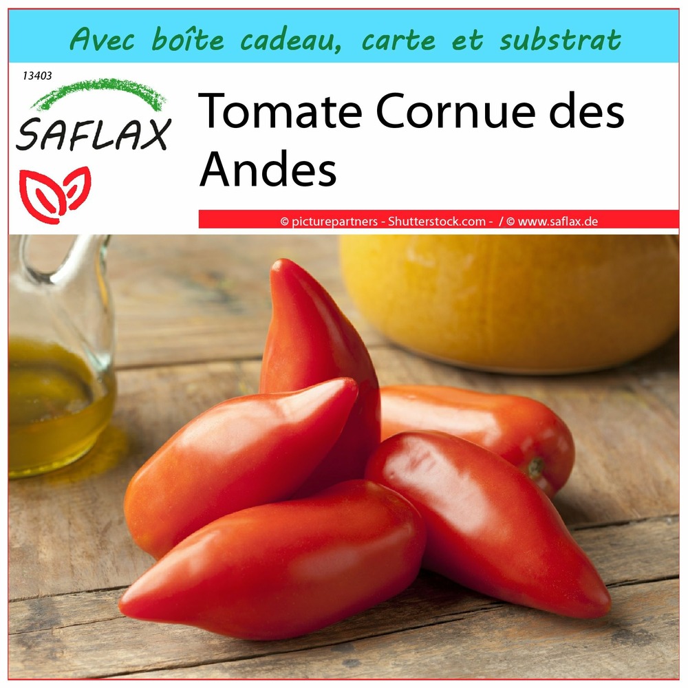 Ensemble-cadeau - tomate cornue des andes - 10 graines - lycopersicon esculentum