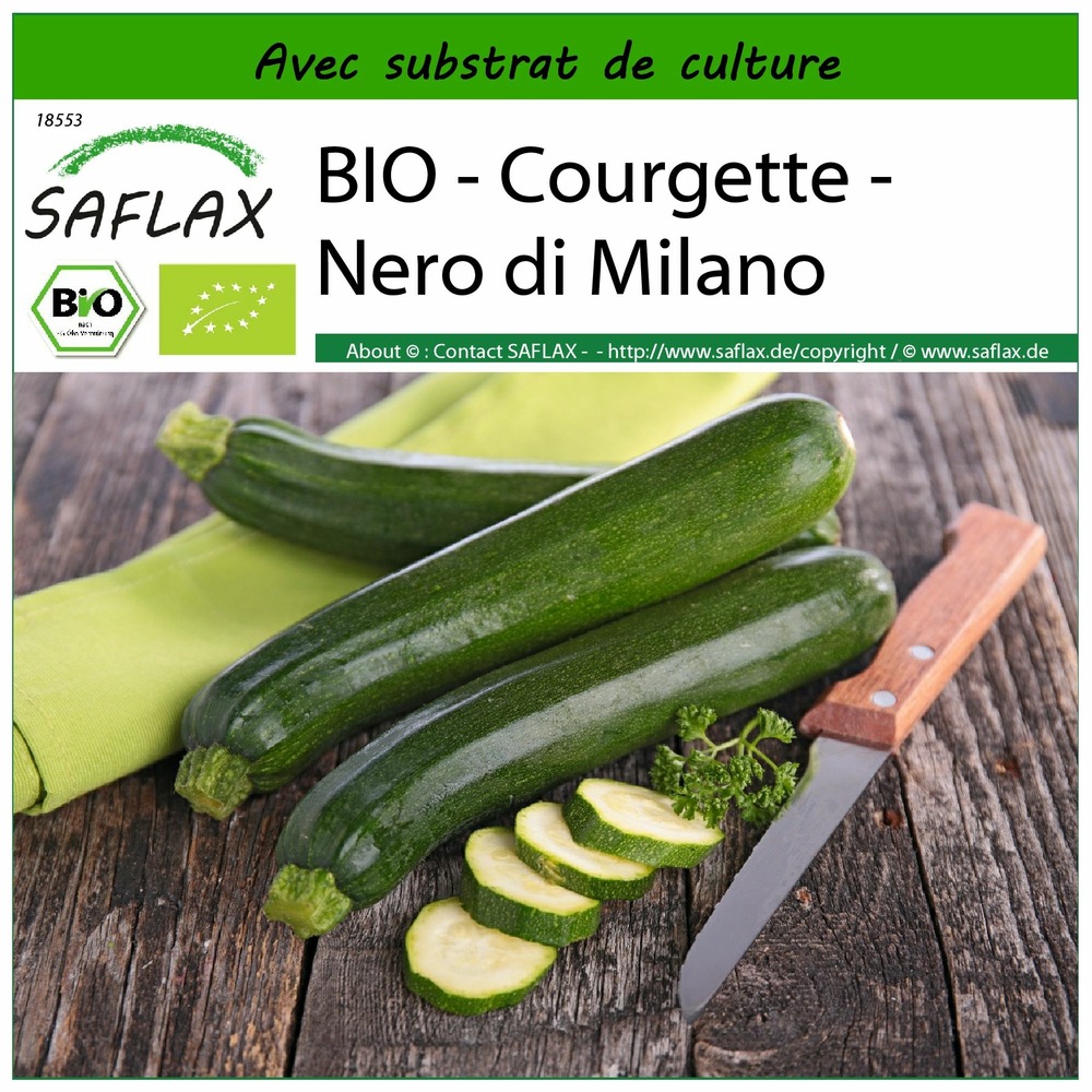 Bio - courgette - nero di milano - 6 graines - avec substrat - cucurbita pepo