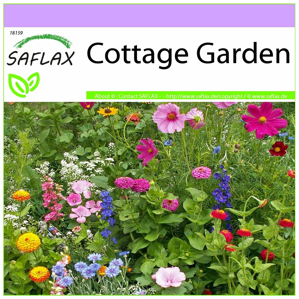 Cottage garden - 1000 graines - mix