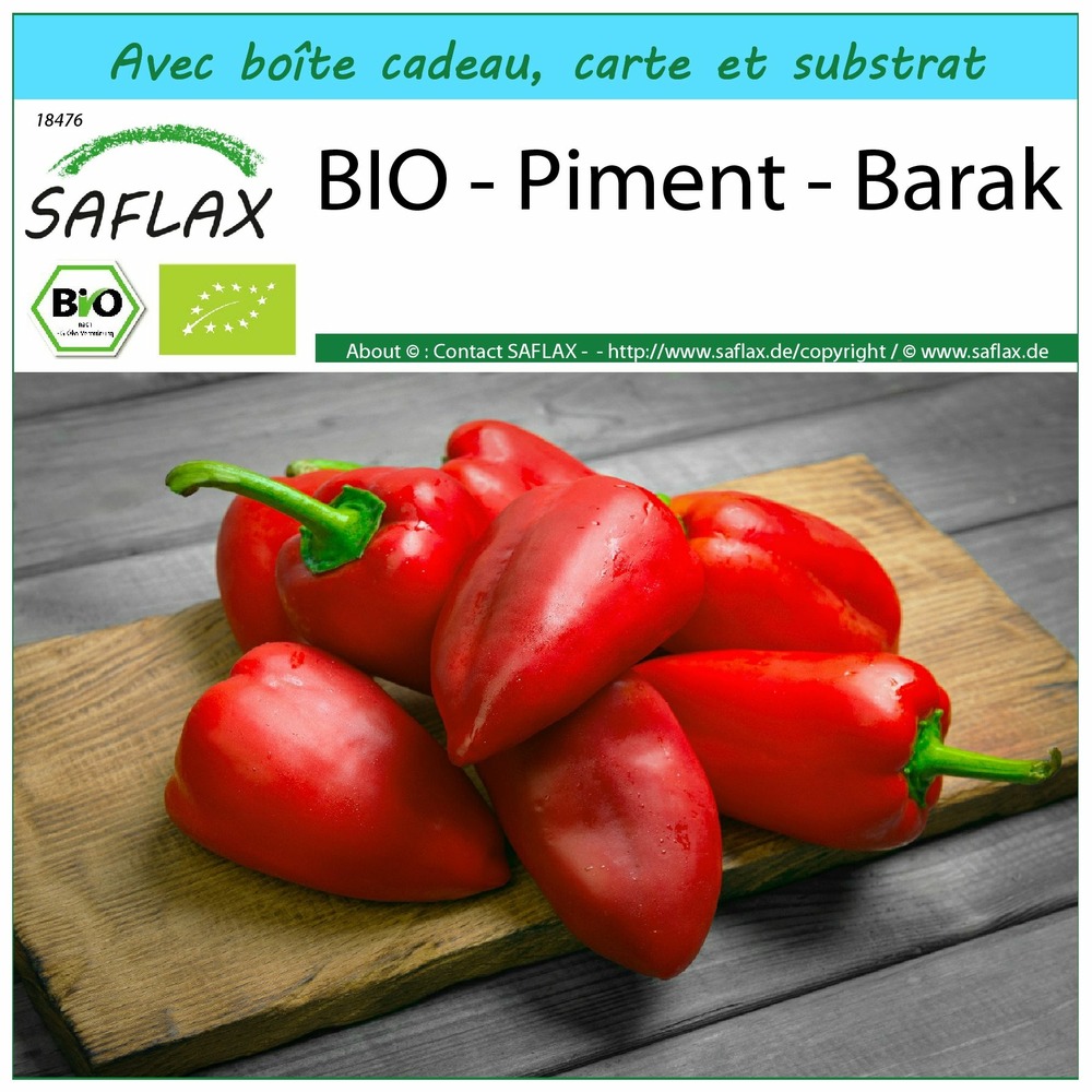 Ensemble-cadeau - bio - piment - barak - 15 graines - capsicum annuum