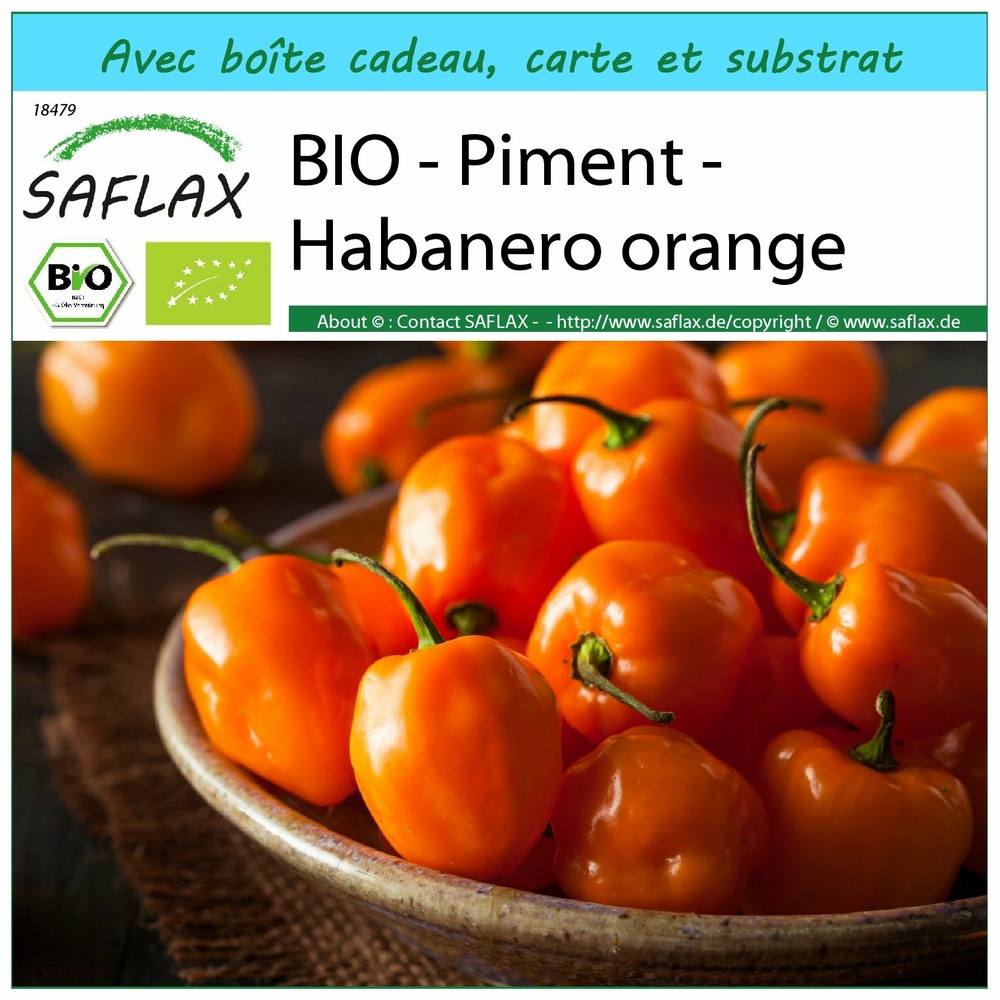 Ensemble-cadeau - bio - piment - habanero orange - 20 graines - capsicum annuum