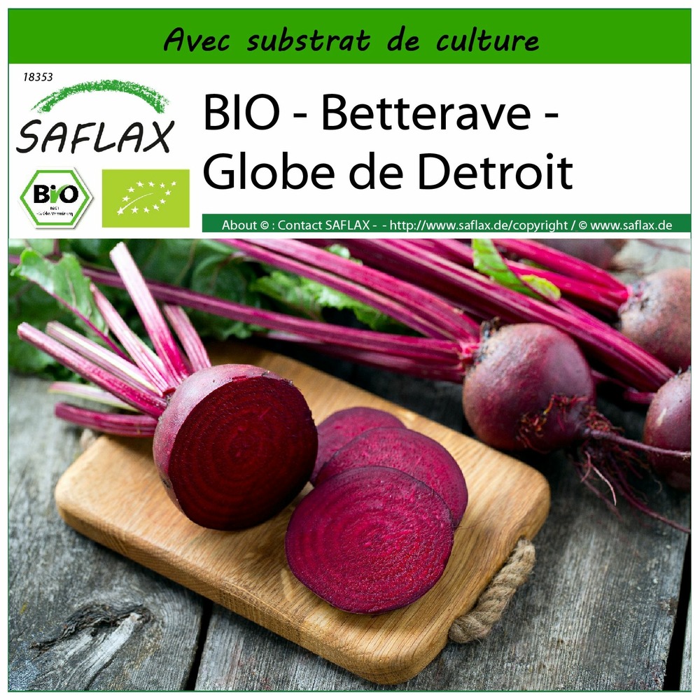 Bio - betterave - globe de detroit - 100 graines - avec substrat - beta vulgaris