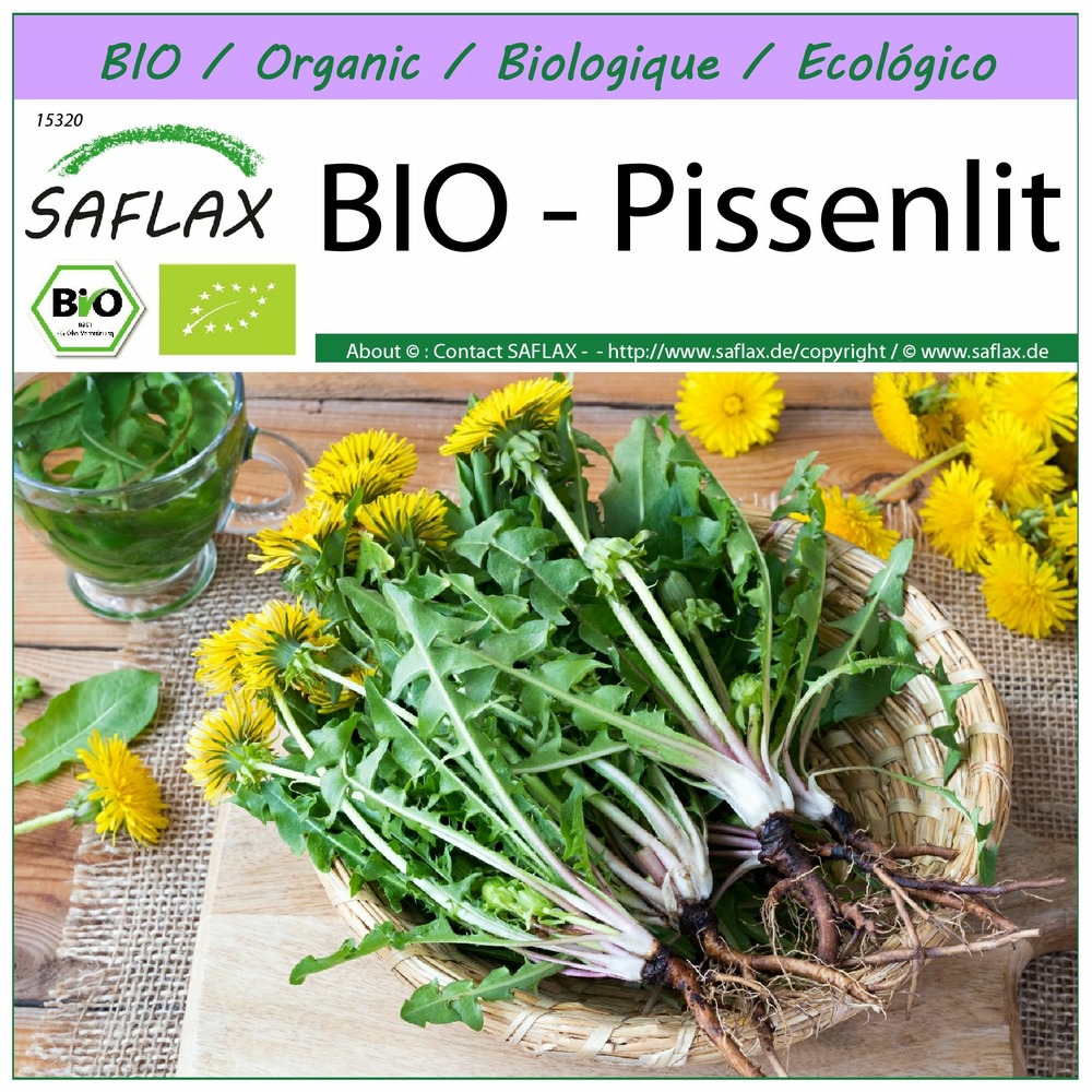 Bio - pissenlit - 400 graines - taraxacum officinale