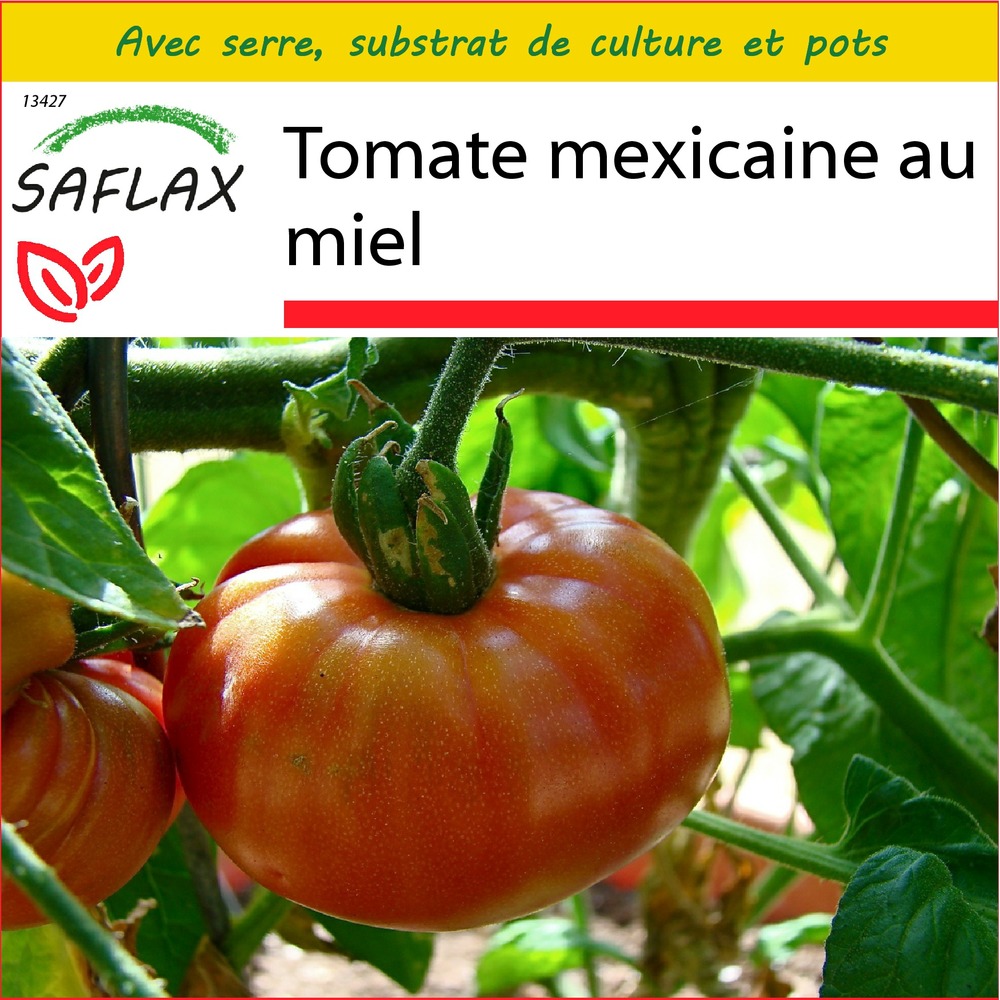 Ensemble de culture - tomate mexicaine au miel - 10 graines - lycopersicon esculentum
