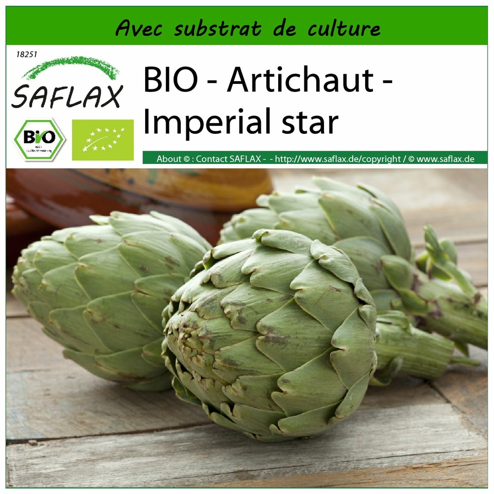 Bio - artichaut - imperial star - 5 graines - avec substrat - cynara scolymus