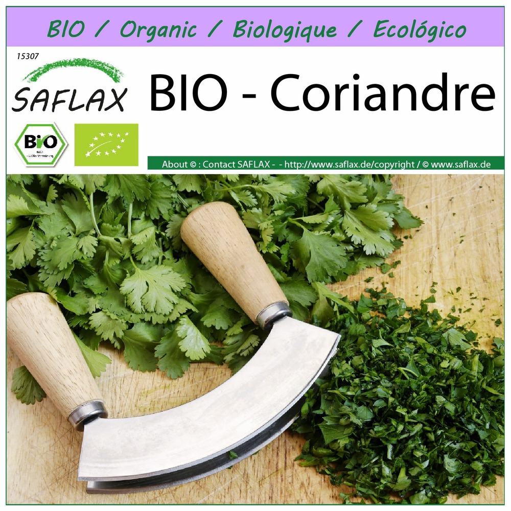 Bio - coriandre - 150 graines - coriandrum sativum