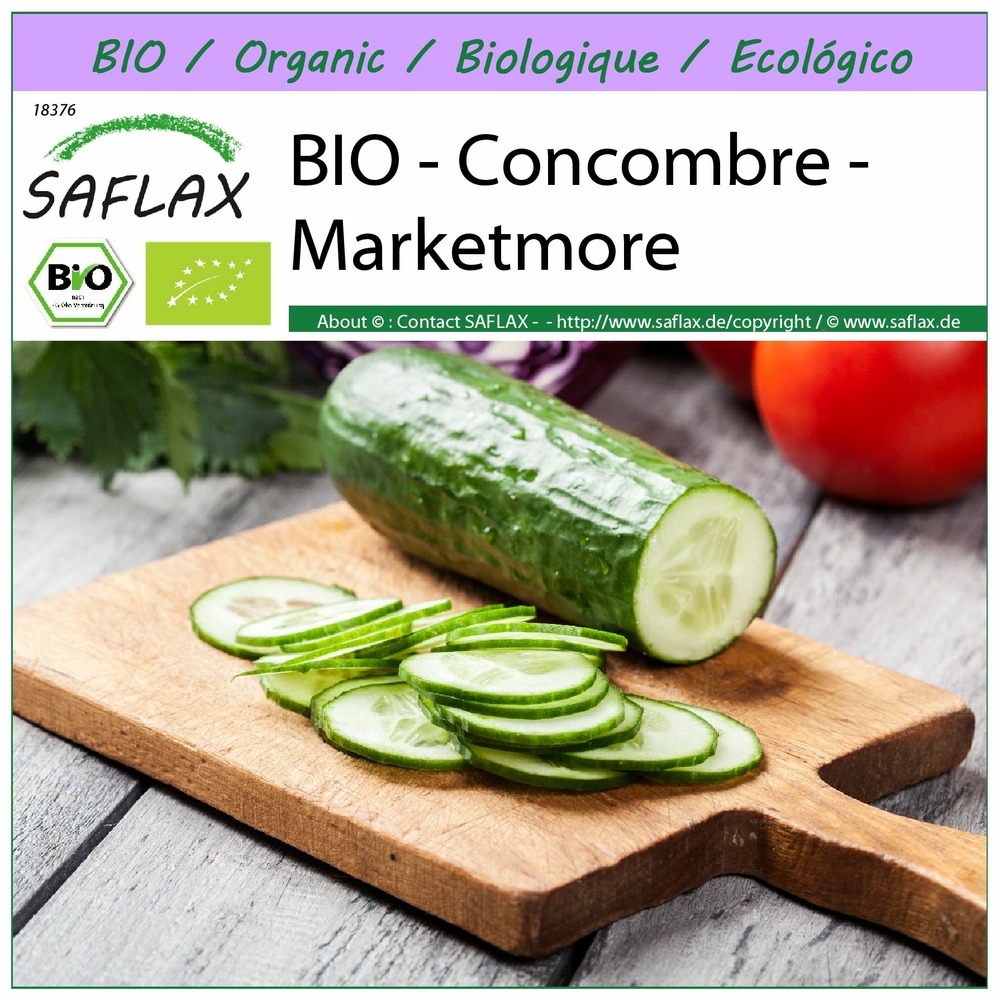 Bio - concombre - marketmore - 20 graines - cucumis sativus