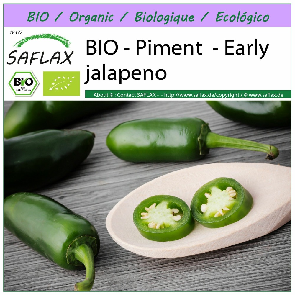 Bio - piment - early jalapeno - 20 graines - capsicum annuum