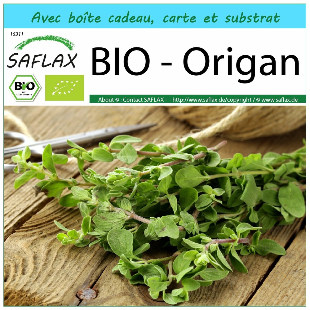 Kit cadeau - bio - origan - 1500 graines  - origanum heracleoticum