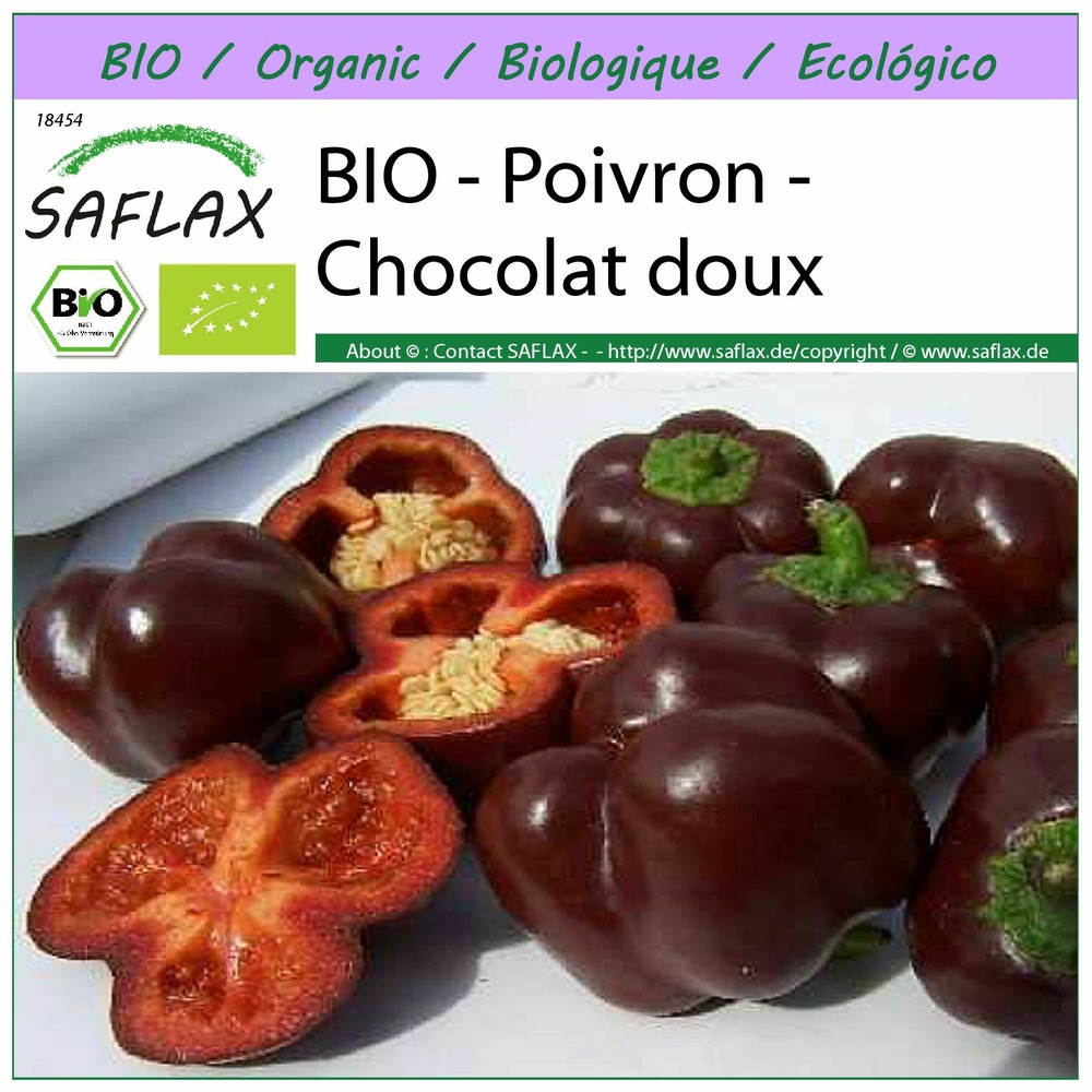 Bio - poivron - chocolat doux - 10 graines - capsicum annuum