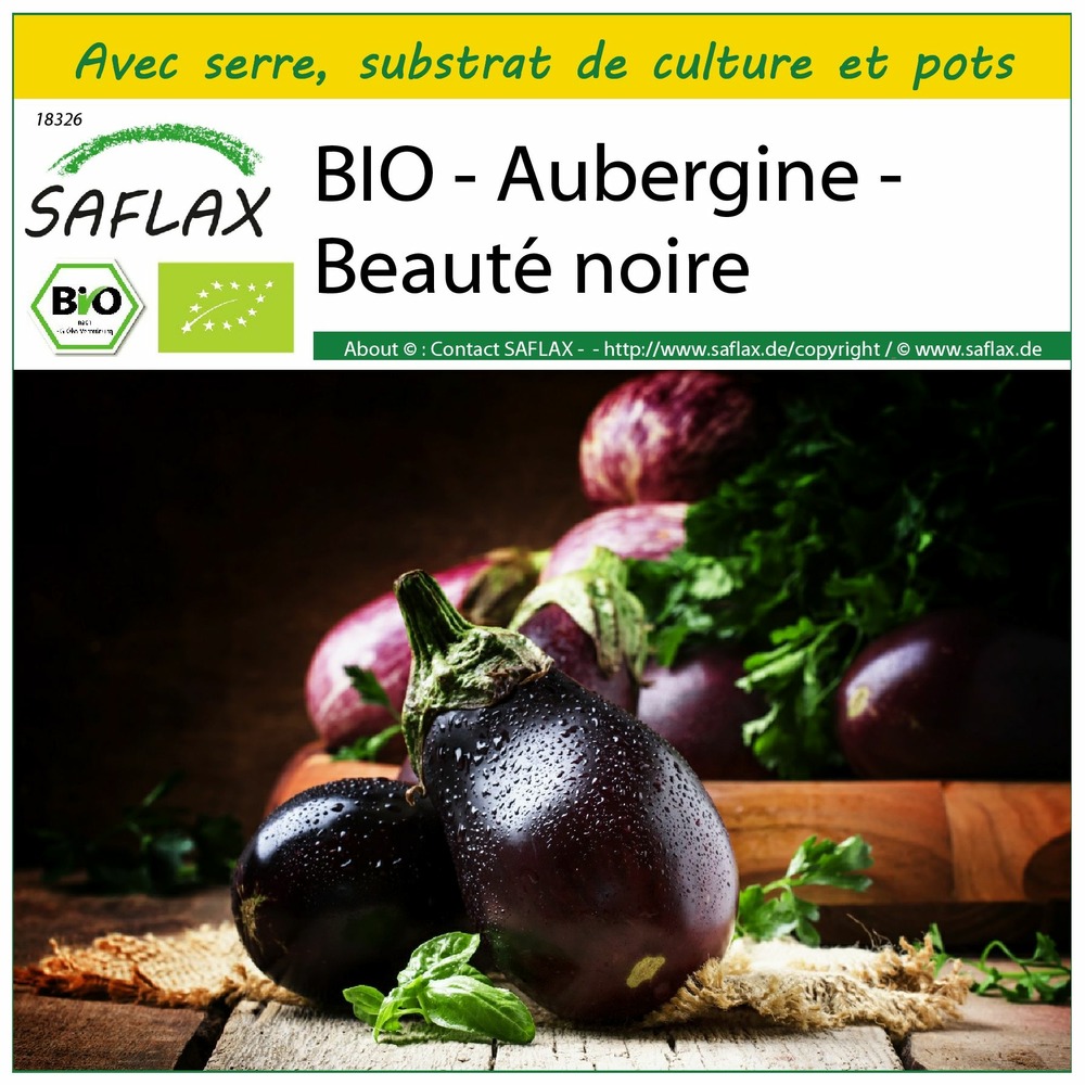 Ensemble de culture - bio - aubergine - beauté noire - 25 graines - solanum melongena