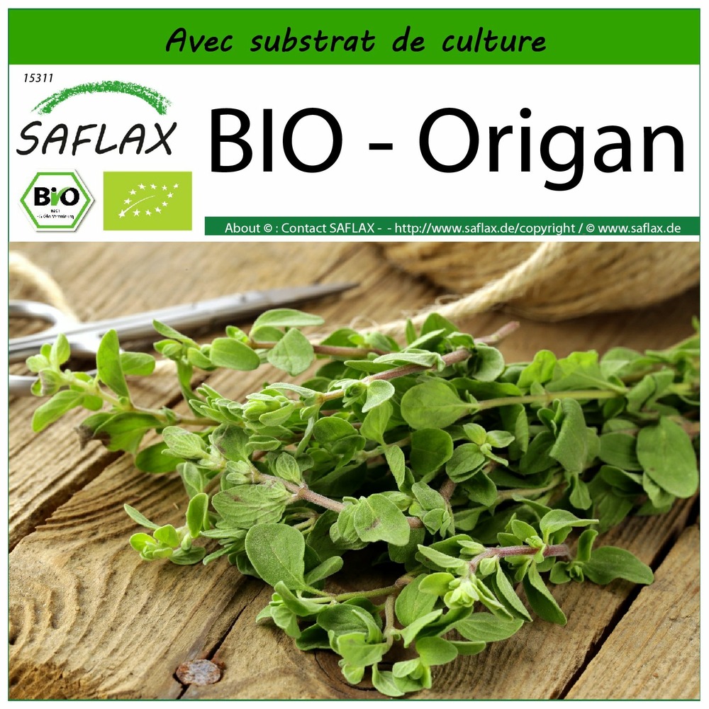 Bio - origan - 1500 graines - avec substrat - origanum heracleoticum