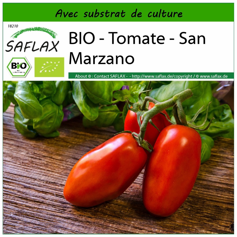 Bio - tomate - san marzano - 15 graines - avec substrat - solanum lycopersicum