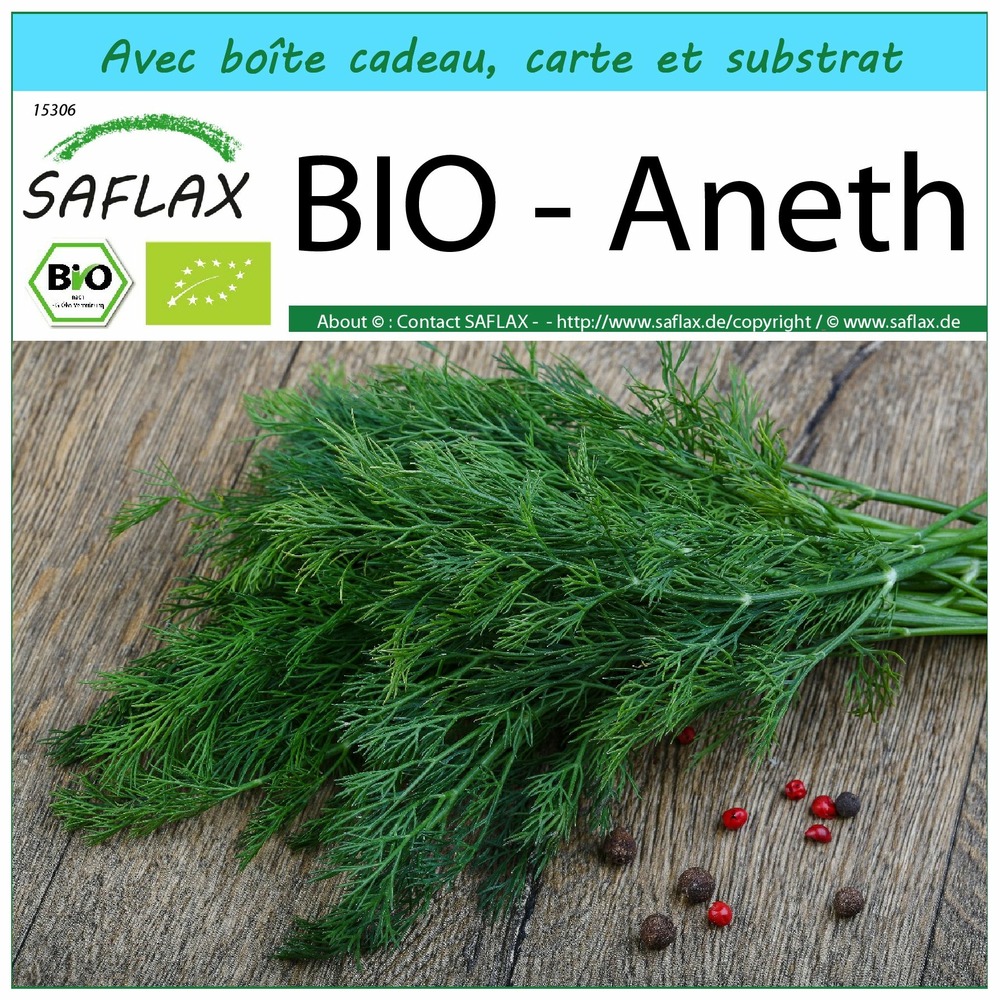 Ensemble-cadeau - bio - aneth - 700 graines - anethum graveolens