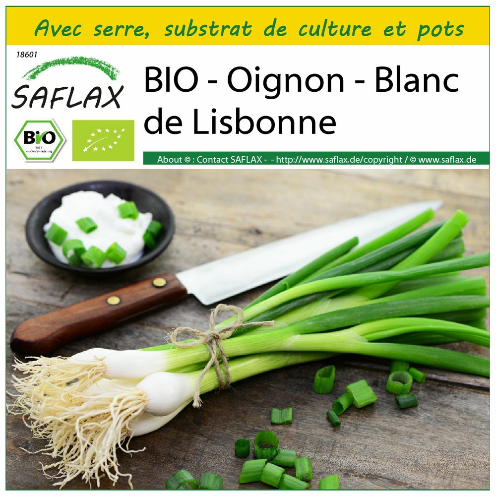 Ensemble de culture - bio - oignon - blanc de lisbonne - 150 graines - allium cepa