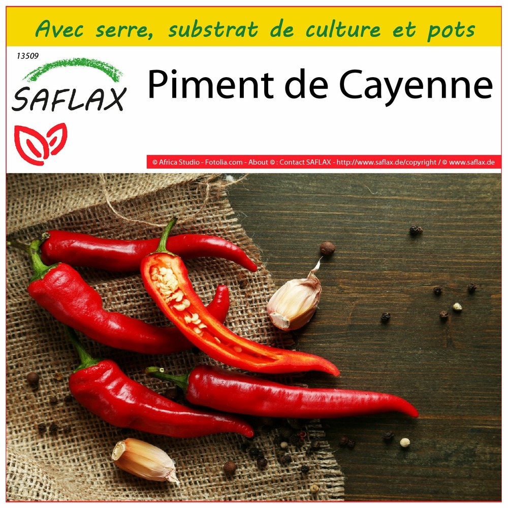 Ensemble de culture - piment de cayenne - 20 graines - capsicum annum