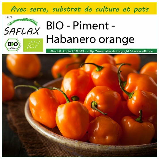 Ensemble de culture - bio - piment - habanero orange - 20 graines - capsicum annuum