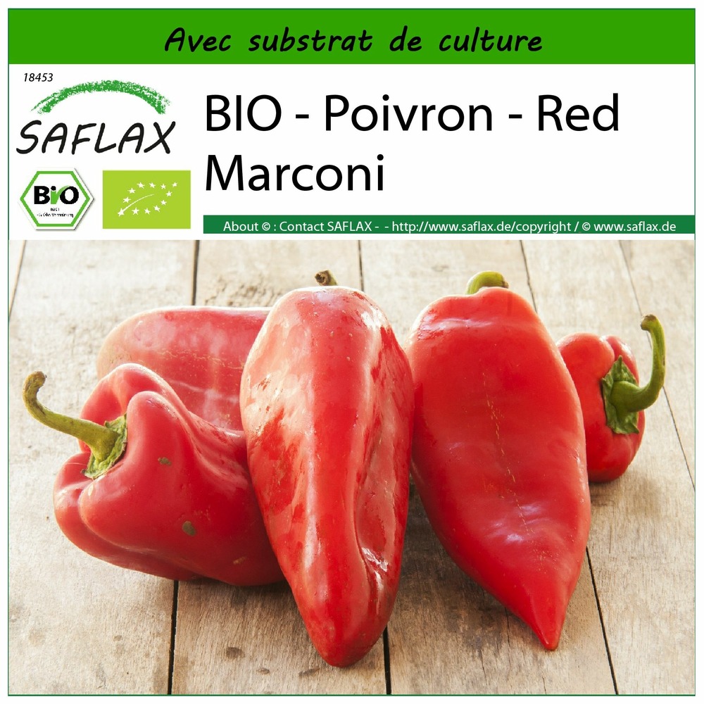 Bio - poivron - red marconi - 20 graines - avec substrat - capsicum annuum