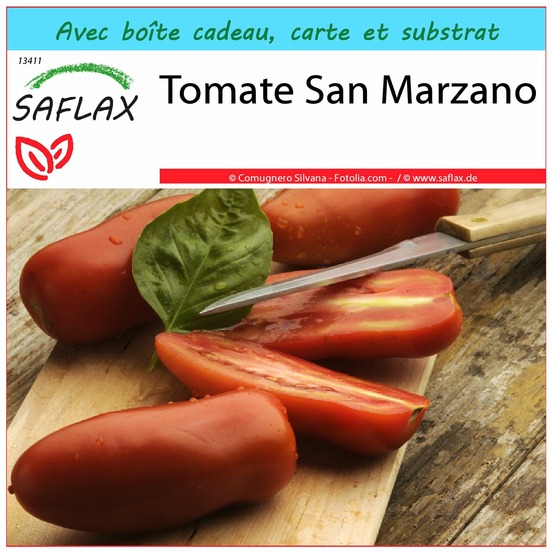 Ensemble-cadeau - tomate san marzano - 10 graines - lycopersicon esculentum
