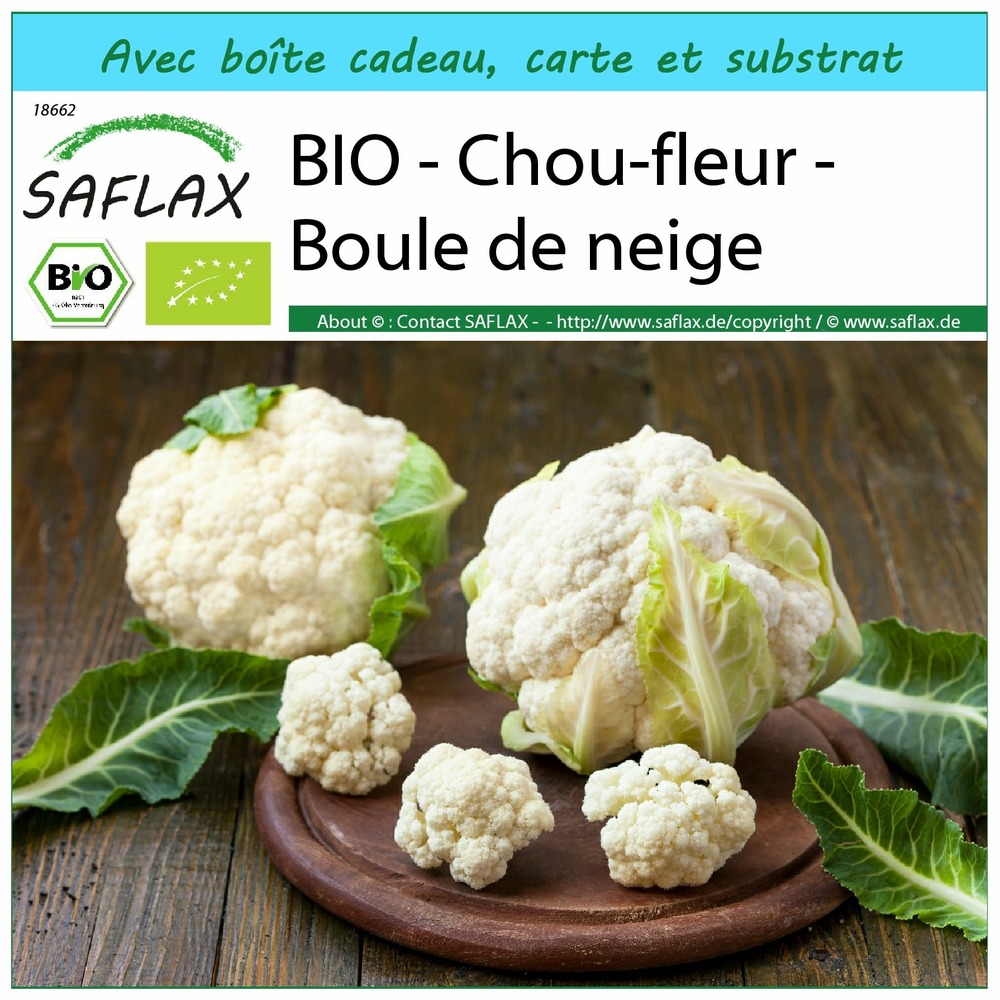 Ensemble-cadeau - bio - chou-fleur - boule de neige - 70 graines - brassica oleracea var. Botrytis