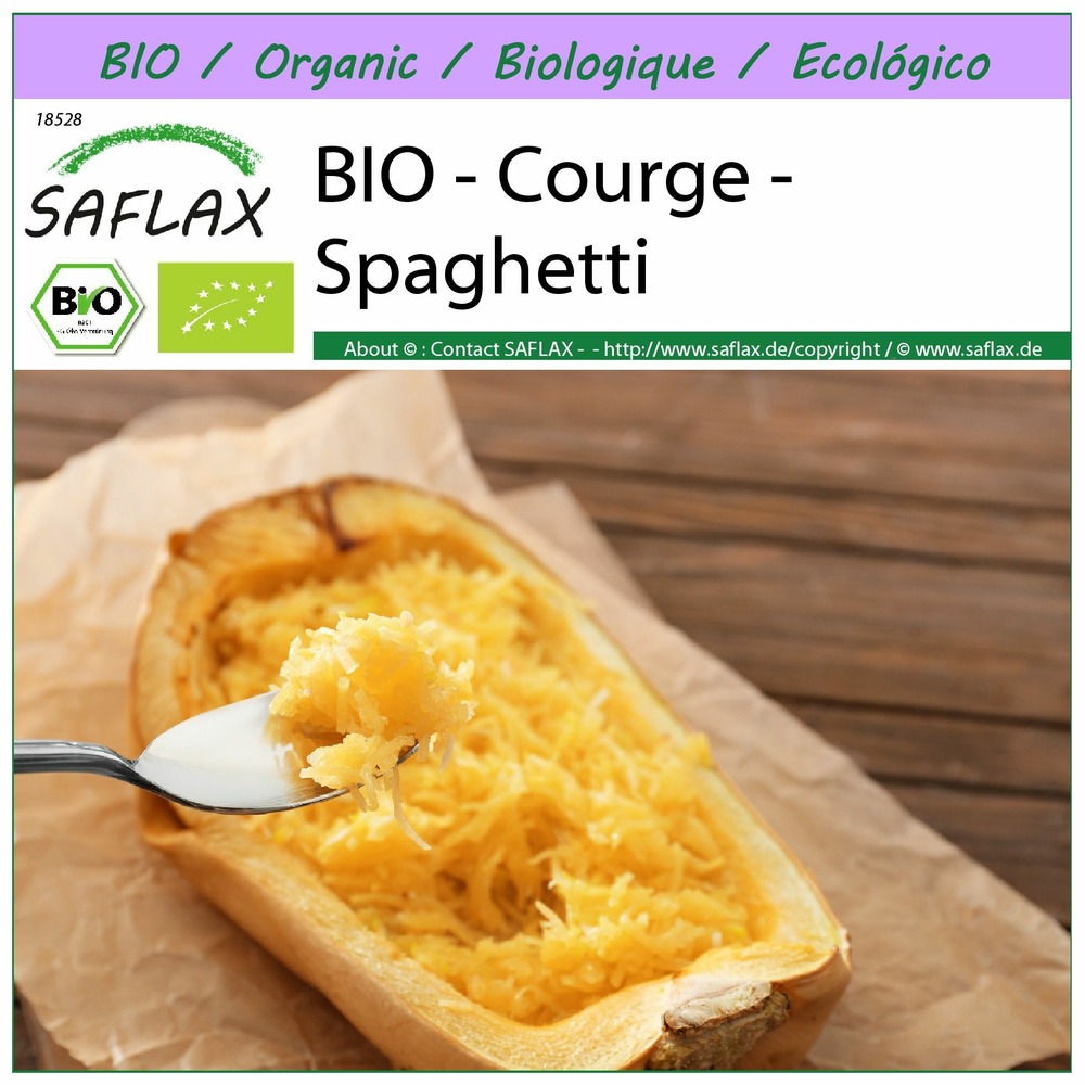 Bio - courge - spaghetti - 5 graines - cucurbita pepo