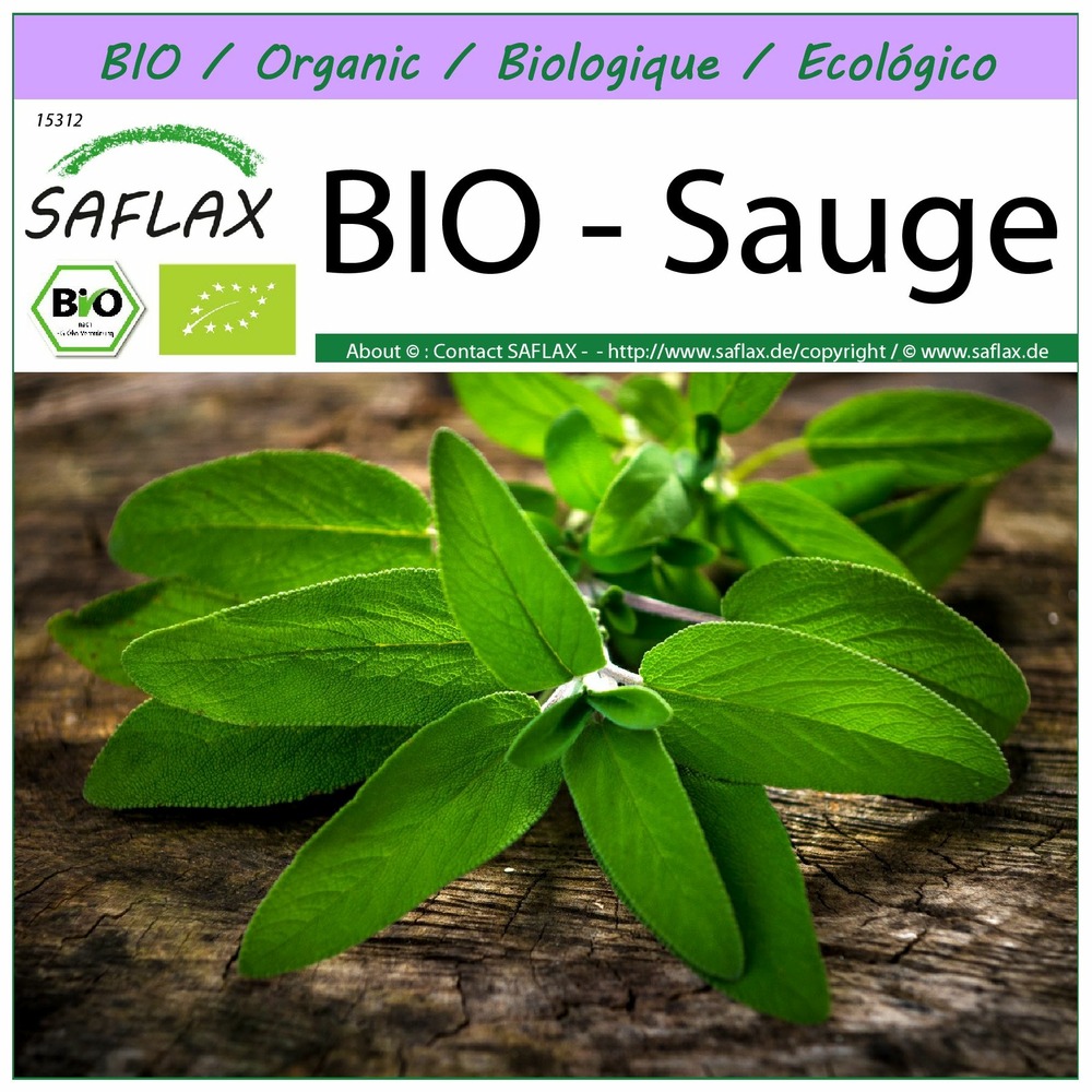 Bio - sauge - 60 graines - salvia officinalis