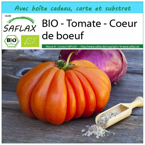 Ensemble-cadeau - bio - tomate - coeur de boeuf - 10 graines - solanum lycopersicum