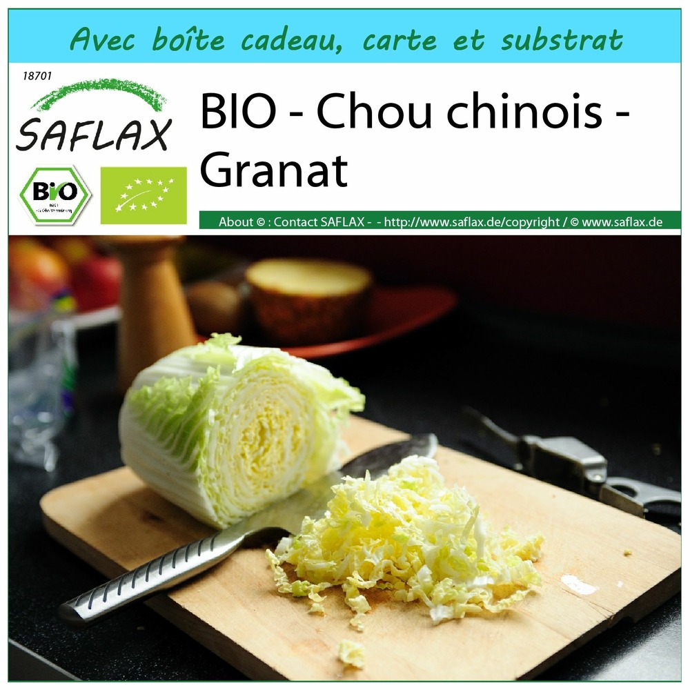 Ensemble-cadeau - bio - chou chinois - granat - 40 graines - brassica rapa ssp. Pekinensis