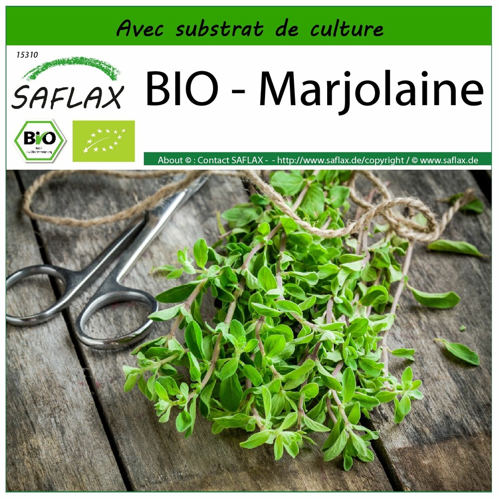 Bio - marjolaine - 700 graines - avec substrat - origanum majorana
