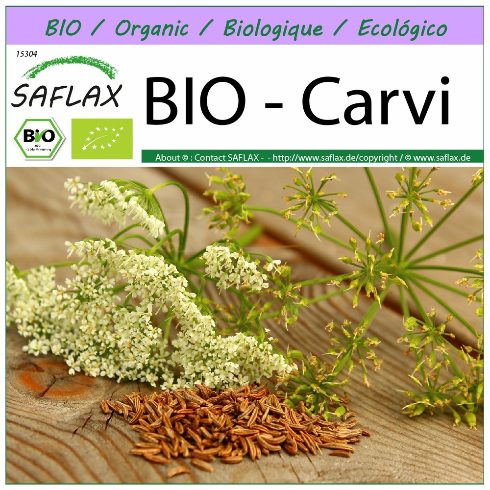 Bio - carvi - 800 graines - carum carvi