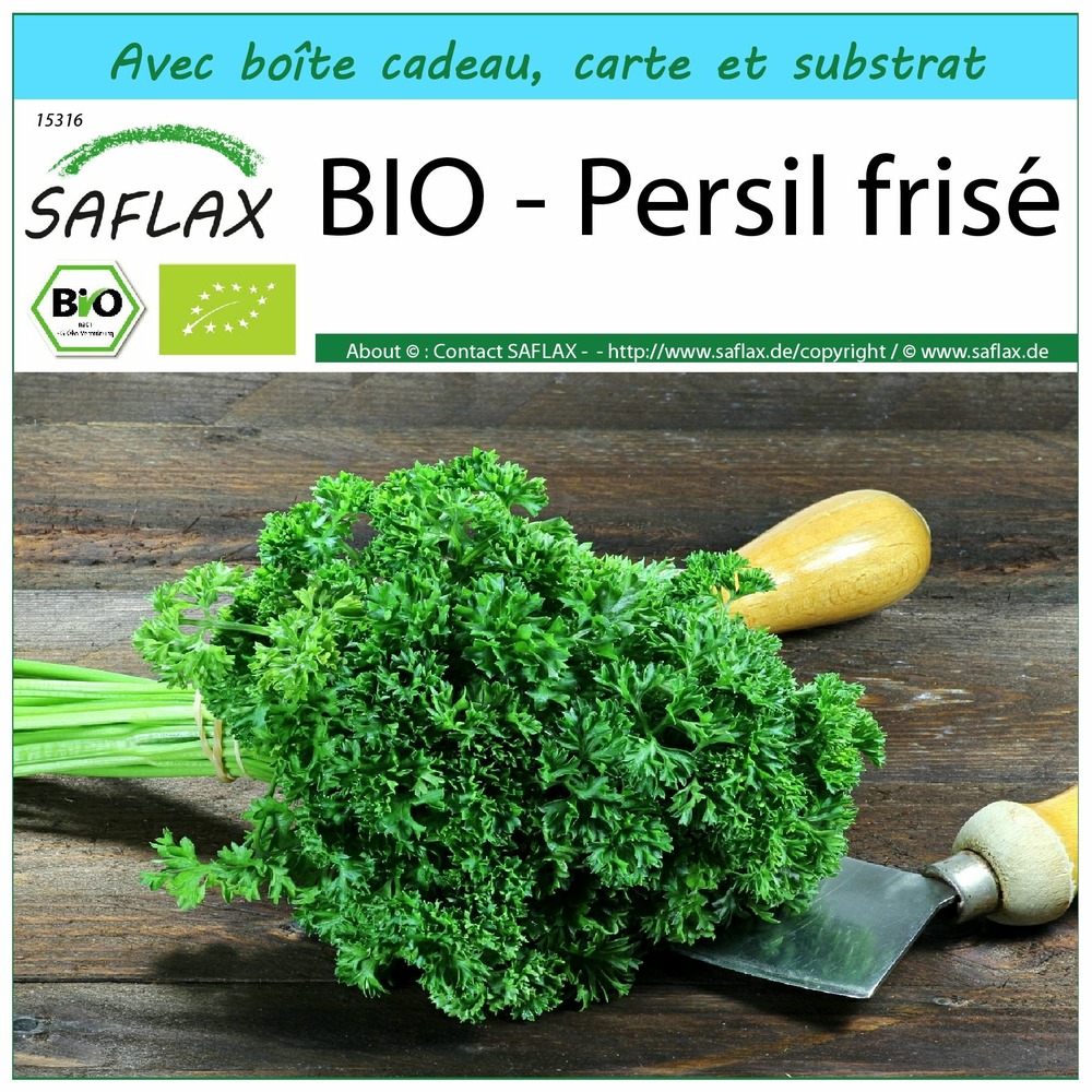 Ensemble-cadeau - bio - persil frisé - 800 graines - petroselinum crispum