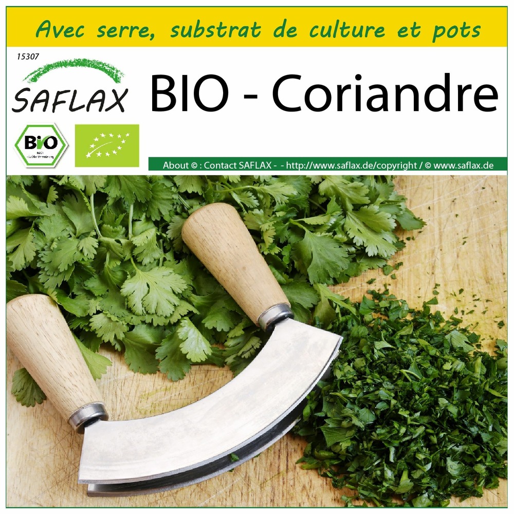 Ensemble de culture - bio - coriandre - 150 graines - coriandrum sativum