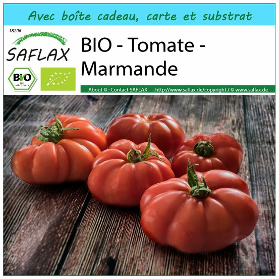 Ensemble-cadeau - bio - tomate - marmande - 10 graines - solanum lycopersicum