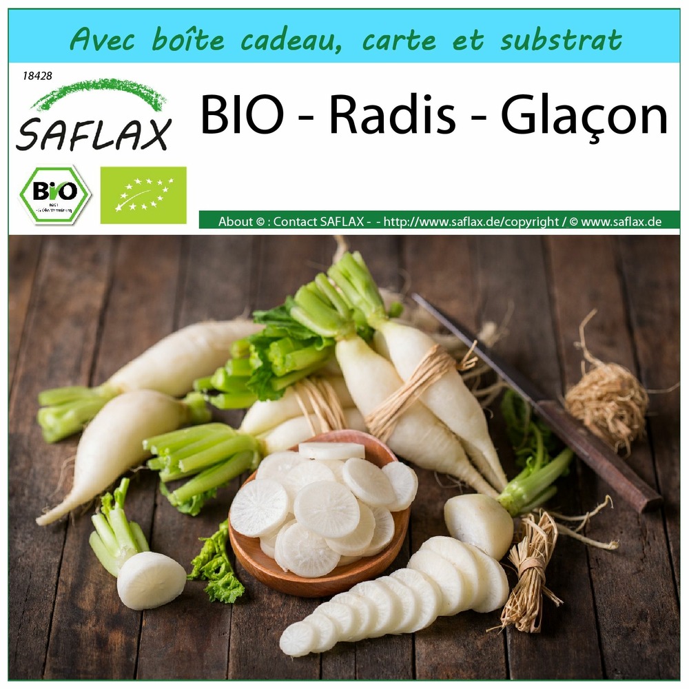 Ensemble-cadeau - bio - radis - glaçon - 100 graines - raphanus sativus