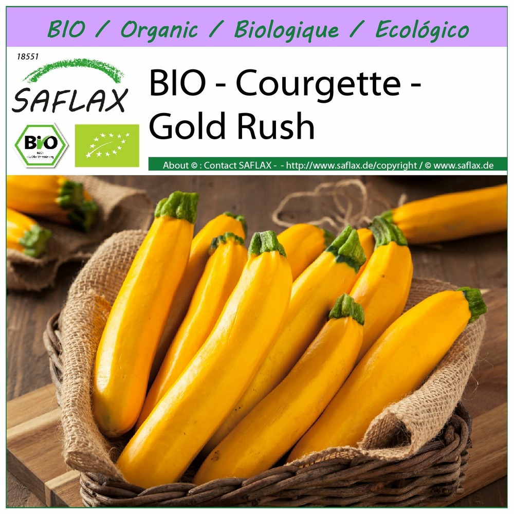 Bio - courgette - gold rush - 5 graines - cucurbita pepo var. Cylindrica