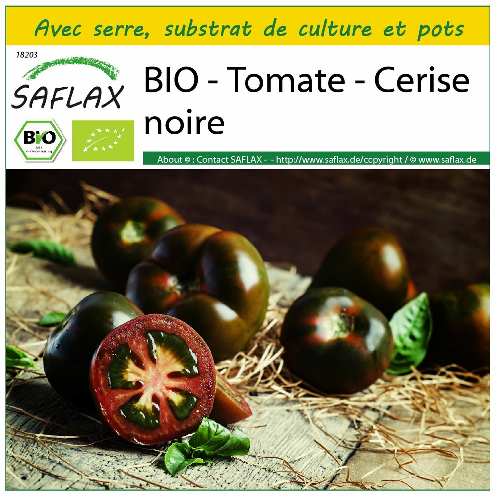 Ensemble de culture - bio - tomate - cerise noire - 10 graines - solanum lycopersicum