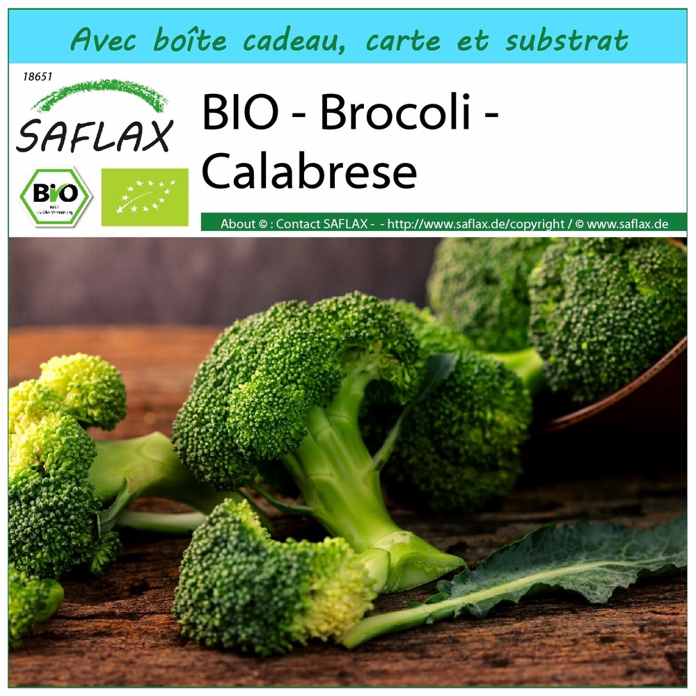 Kit cadeau - bio - brocoli - calabrese - 100 graines  - brassica oleracea