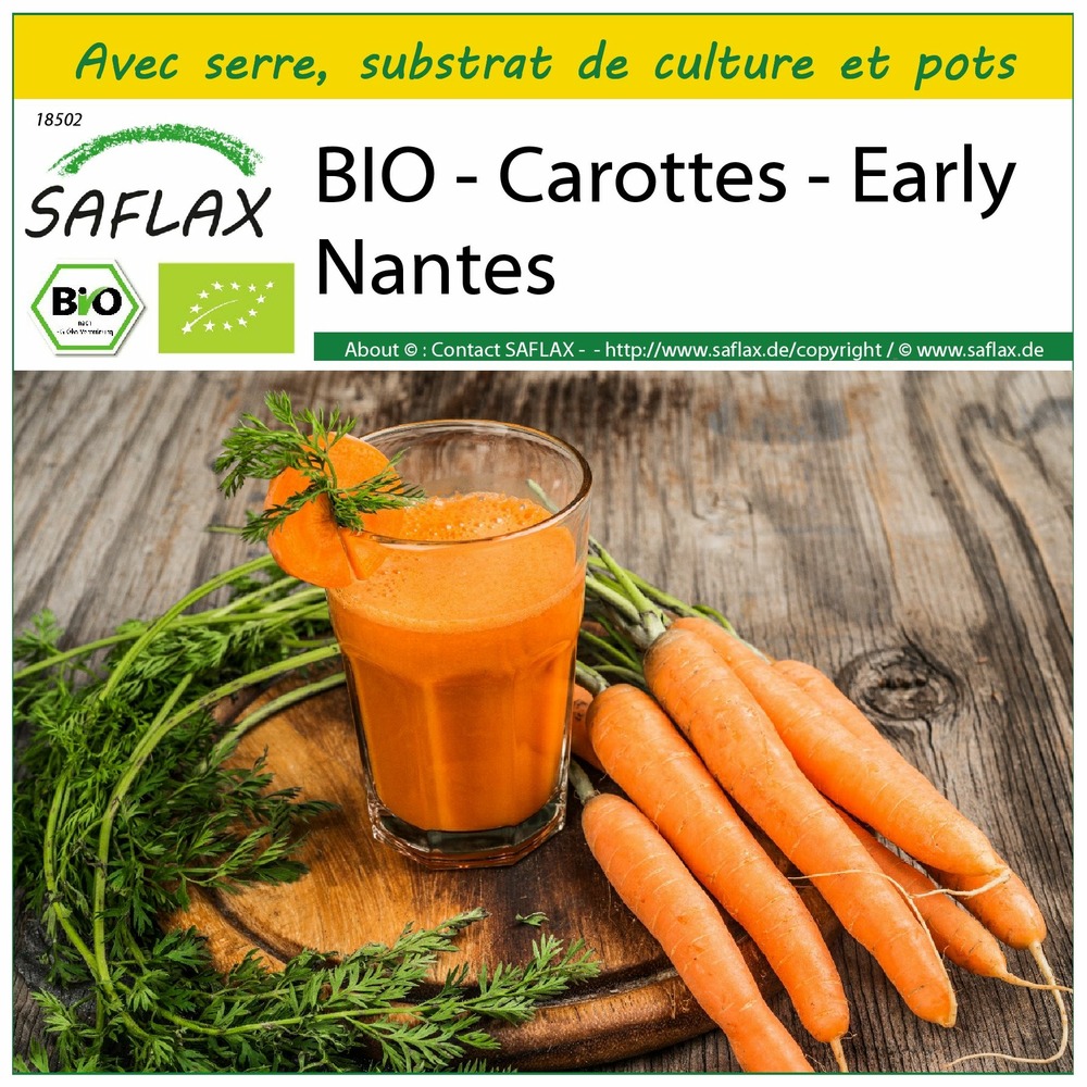 Ensemble de culture - bio - carottes - early nantes - 1500 graines - daucus carota subsp. Sativus