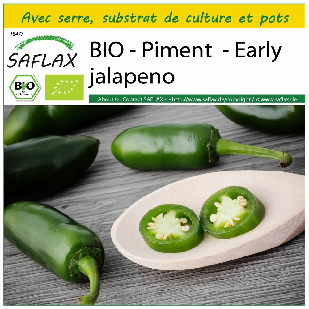 Ensemble de culture - bio - piment - early jalapeno - 20 graines - capsicum annuum